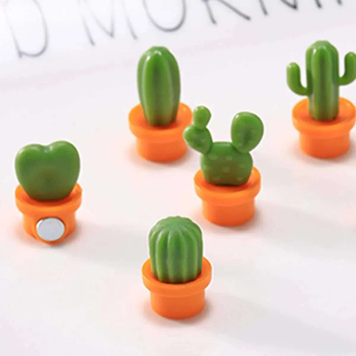 Kaktus Magnete